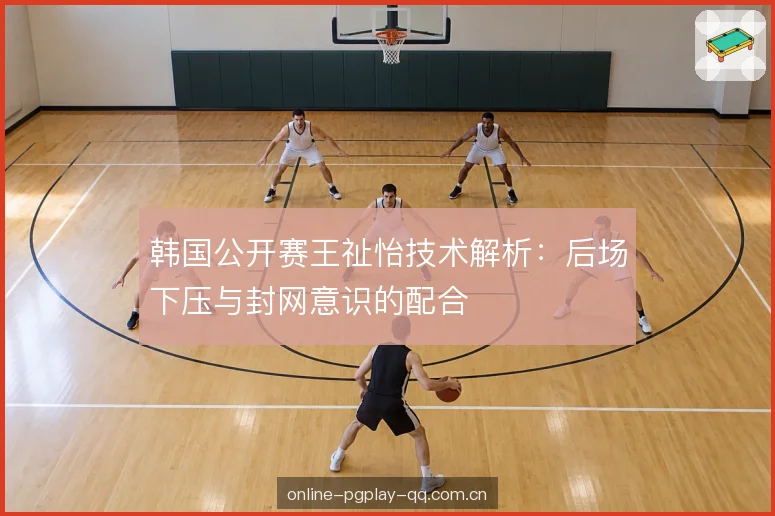 韩国公开赛王祉怡技术解析：后场下压与封网意识的配合